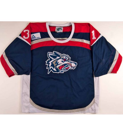 Custom ECHL 2006 07 Elmira Jackals 31 David Lemanowicz Authentic Hockey Jersey Blue